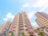 ランドステージ東大島エグゼタワー 1階 101