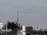 Jo’s Residence 高田馬場 4階 401(定借)