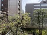 一番町ハウス 2階