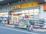 ステラマリス 4階 402