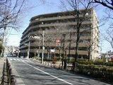 KS桜川 5階 507
