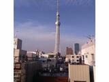 コレット春日 5階 501