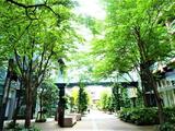 大崎ウエストシティタワーズ 6階