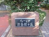 イトーピア渋谷桜ヶ丘 7階 703