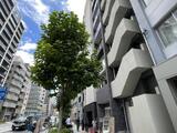 リプレザント秋葉原 5階 501