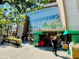 Brillia ist 文京茗荷谷 2階 203