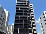 メインステージ南砂町II 12階 1205