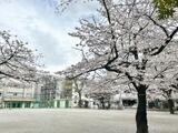 プレール・ドゥーク菊川 5階 506