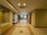 ライジングプレイス浅草弐番館 2階 203