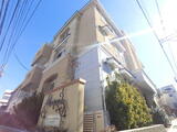 CasadeMascotas 1階 102