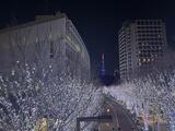 GLOBE NISHIAZABU 2階 0202