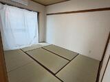 ロイヤルプラザ浅草 8階 806