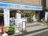 シャローム亀戸 5階 501