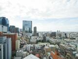 プラティーヌ西新宿 14階 1409