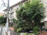 T’s garden小竹向原 2階 202