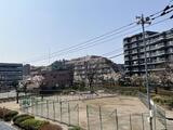 ライネスハイム志村 3階