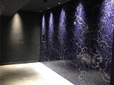S-RESIDENCE東陽町feliz 3階 305