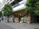 ステージグランデ文京小石川 8階 803
