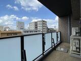 レオーネ文京音羽 11階 1101