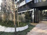 ザ・パークハビオ木場 10階 1003
