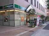 フェリーチェ錦糸町 14階 1404