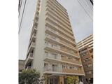 パークアクシス錦糸町 10階 1001
