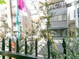 セリジェ池尻大橋 1階 101
