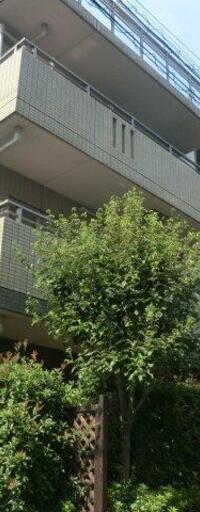ガーデン代々木参宮橋