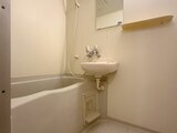 サンホープ白山 2階 別タイプのお部屋の写真です