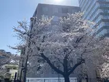 ヘキサート六本木 外観