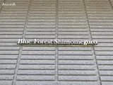 BlueForest下目黒 1階 102 その他