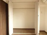 ディアフラッツ 5階 501 収納