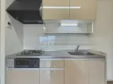 ディアフラッツ 4階 403 別タイプのお部屋の写真です。