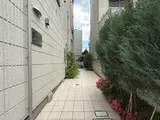 パルルメゾン