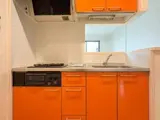 メゾン西の森 1階 102 別タイプのお部屋の写真です