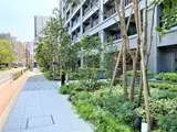 シティタワー銀座東 外観