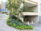 プレミアブラン代々木公園