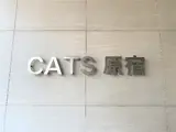 CATS原宿