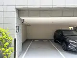 ブリリア亀戸