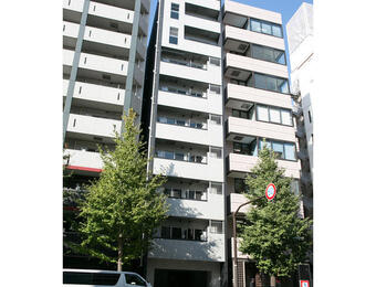 VAINQUEUR iwamotocho