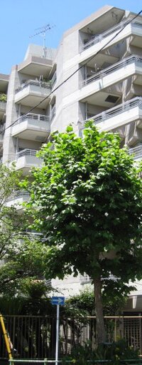 ラミアール明石町